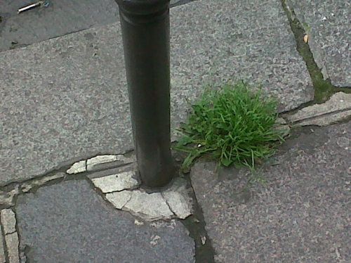 TureIMG00578-20130616-0911 (2) TureIMG00578-20130616-0911 (2)