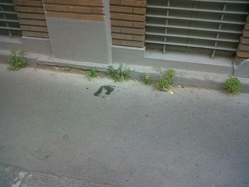 Mont IMG00576-20130616-0858 Mont IMG00576-20130616-0858