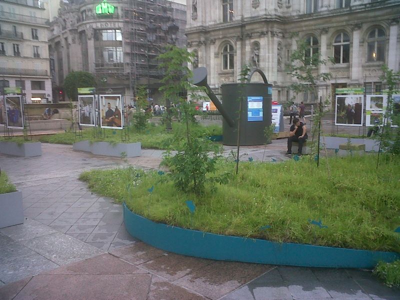 J1IMG00582-20130617-2006 J1IMG00582-20130617-2006