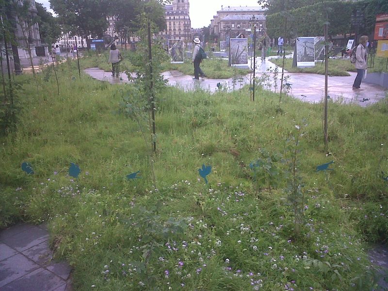 J2IMG00581-20130617-2005 (1) J2IMG00581-20130617-2005 (1)