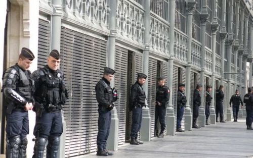 3695795_11-0-4211502894_545x341