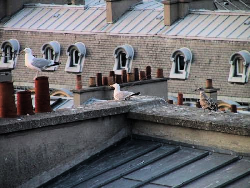 Dyn008_original_500_375_pjpeg_2599873_e1e1c57c5cc77d217f3e3483fafded07 Dyn008_original_500_375_pjpeg_2599873_e1e1c57c5cc77d217f3e3483fafded07