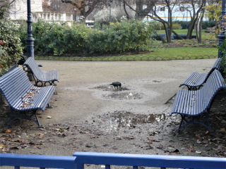 Tour st jacques rats 16 12 16