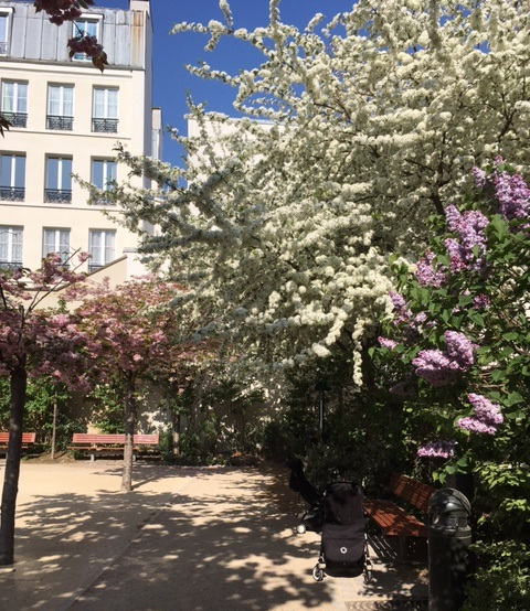 IMG_0528 (2) IMG_0528 (2)