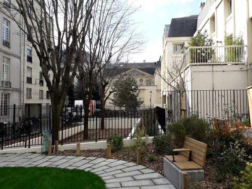 Thorigny arbres 19 03 19 Thorigny arbres 19 03 19