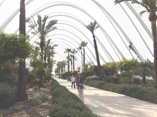 Umbracle gs Umbracle gs