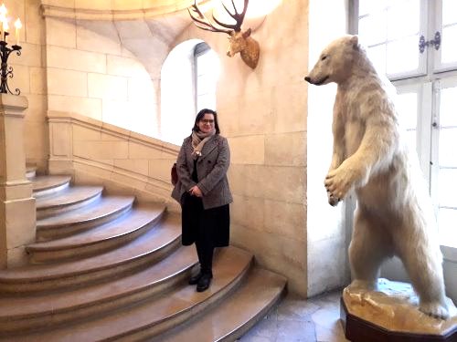 Chasse ours Chasse ours