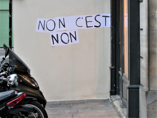 Lions st paul affiches