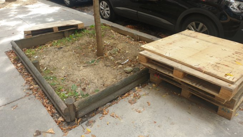 Pied d'arbre Pied d'arbre