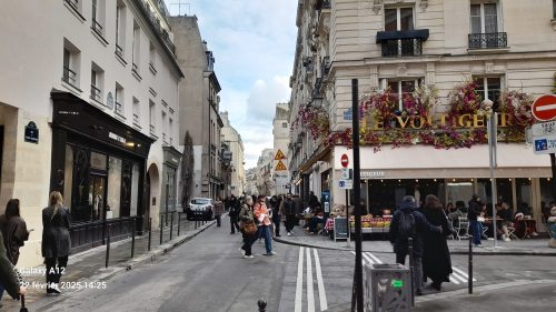 Framb voltigeur Framb voltigeur